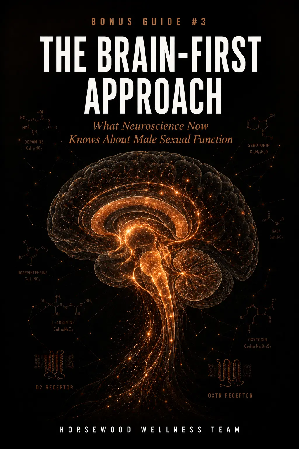 The Brain-First Approach — neuroscience and male function cover